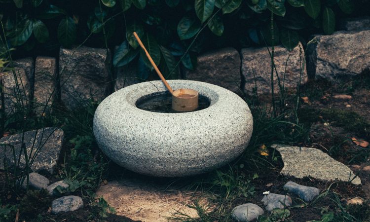 What is a Zen garden-1